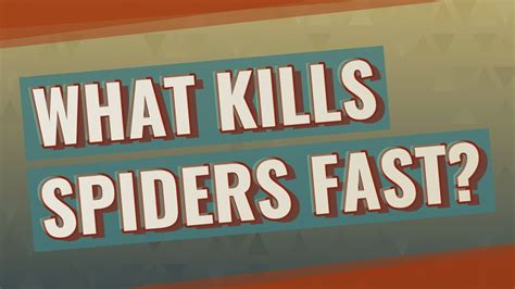 What spider kills the fastest?