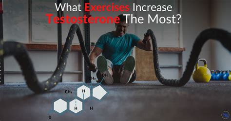 What sport increases testosterone the most?