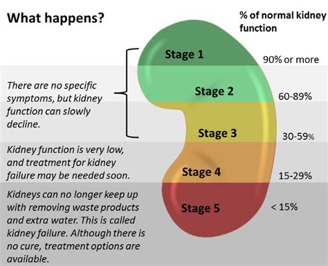 What stage is 30% kidney function?