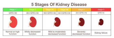 What stage is 34% kidney function?