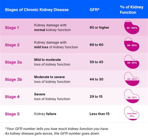 What stage is 46% kidney function?