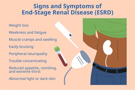 What stage is 50% kidney failure?