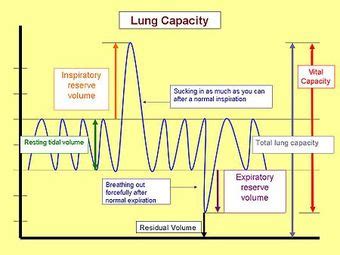 What stage is 50% lung capacity?