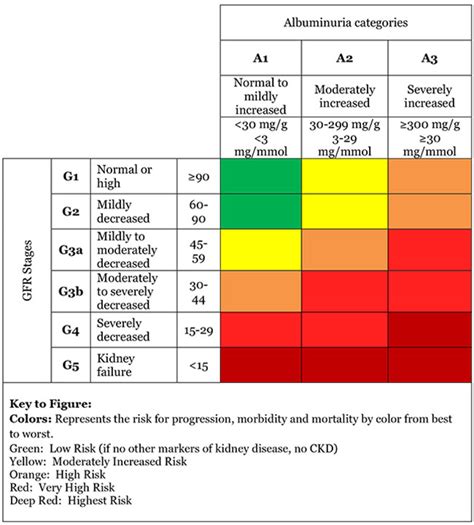 What stage is GFR 40?