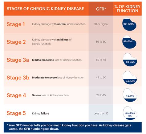 What stage of kidney disease is eGFR 55?