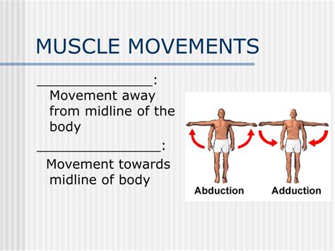 What stimulates the movement of muscles?