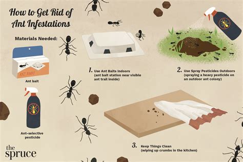 What stops ants from coming in the house?