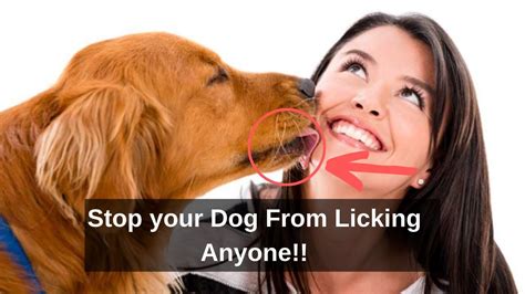 What stops dogs from licking?