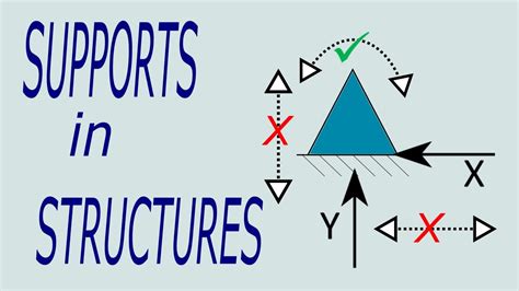 What structure provides structural support?