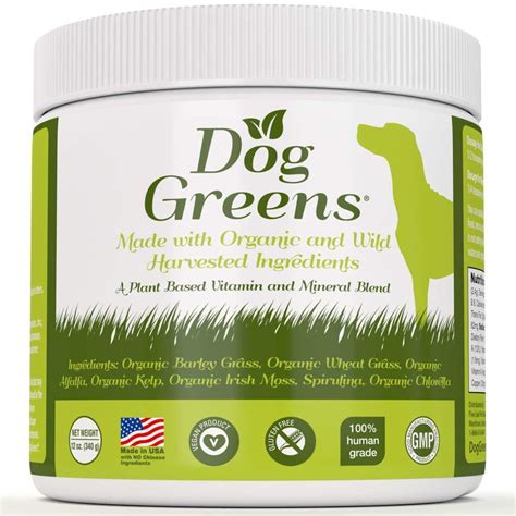 What supplement can I give my dog to stop eating grass?