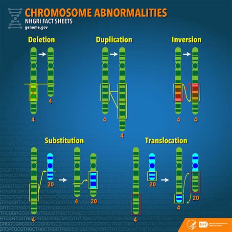 What supplements prevent chromosomal abnormalities?