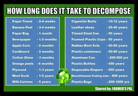 What takes 1000 years to decompose?