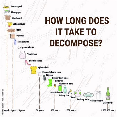 What takes the longest to decompose?