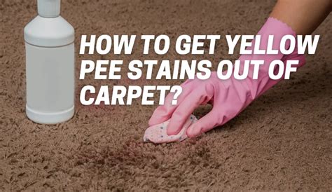 What takes yellow pee stains out of carpet?