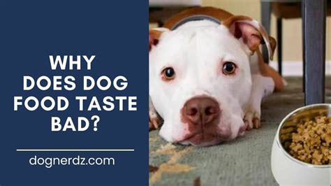 What tastes bad to dogs but is harmless?