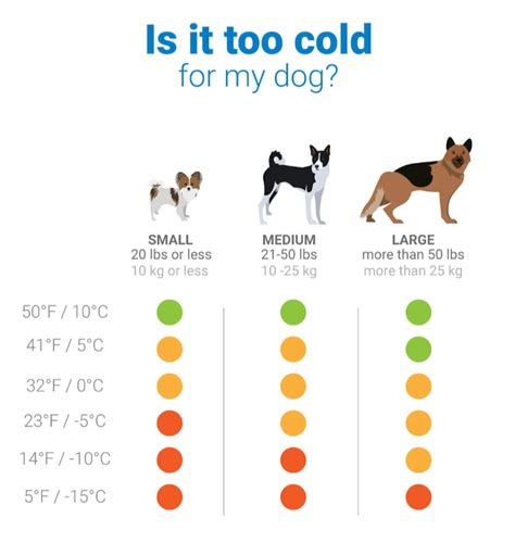 What temperature can dogs tolerate Celsius?
