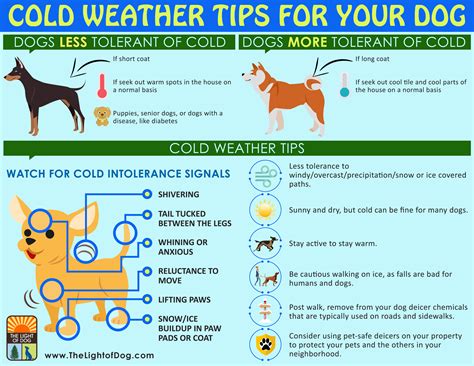 What temperature can hurt a dog?