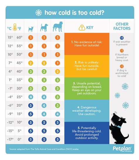 What temperature do animals get cold?