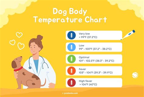 What temperature do dogs like?