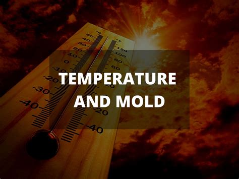 What temperature does mold grow in basement?