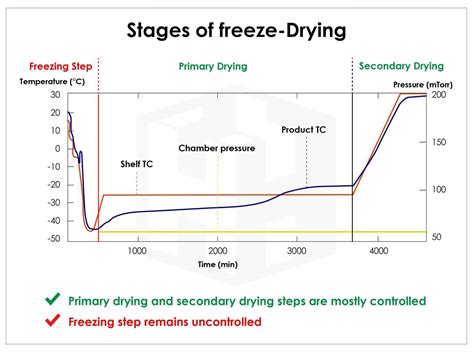 What temperature is needed for freeze-drying?