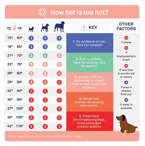 What temperature is too hot for dogs to walk at night?