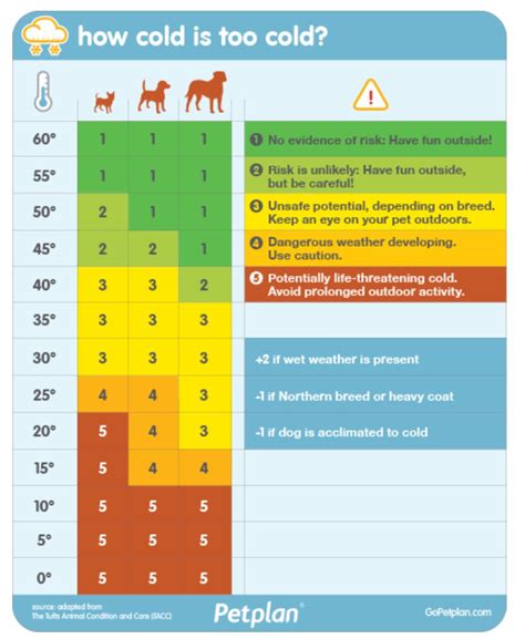 What temperature is uncomfortable for dogs?