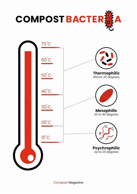 What temperature kills bacteria in potatoes?