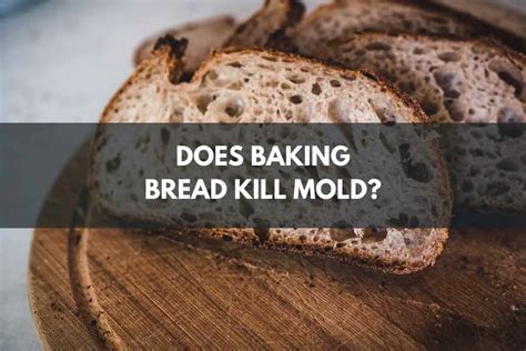 What temperature kills mold on bread?