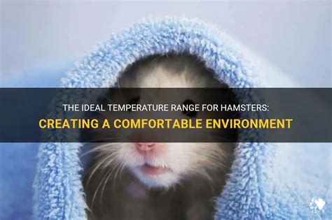 What temperature should a hamster be in Celsius?