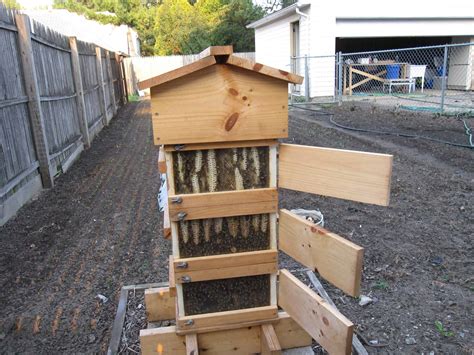 What temperature should be for bees in hive?