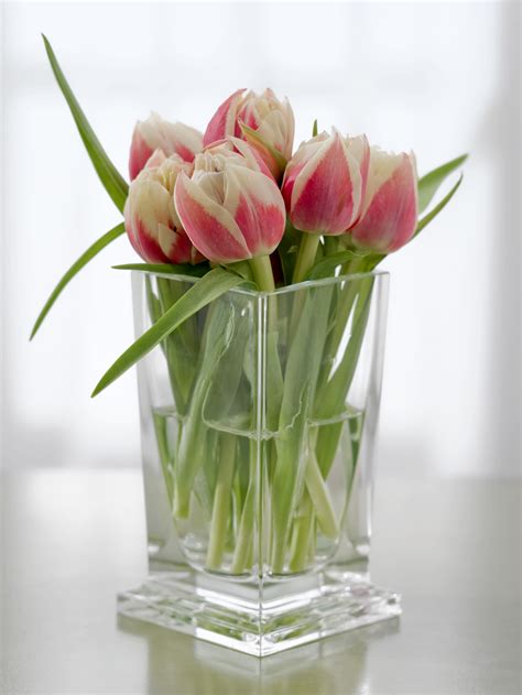 What temperature should tulips be stored at?