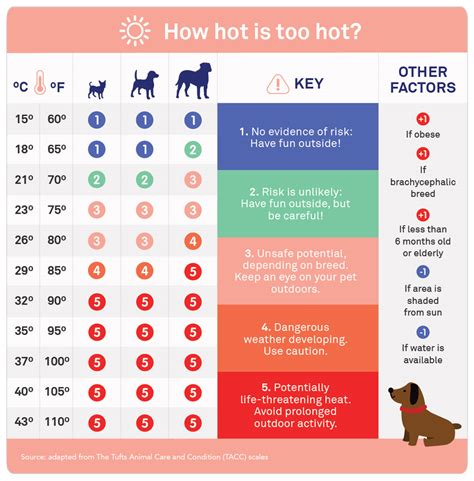 What temperature should you not take your dog out in?