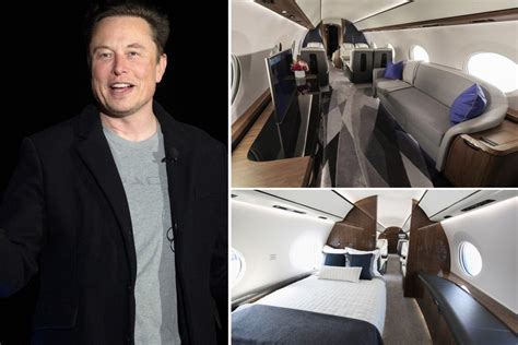 What time does Elon Musk go to bed?