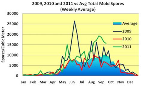 What time of year is mold highest?