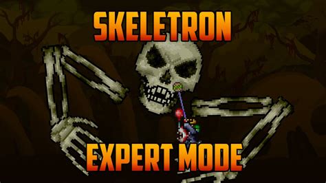 What to do after Skeletron?