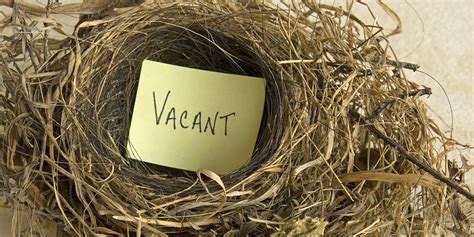 What to do after empty nest?