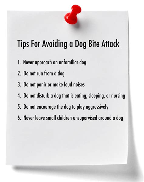 What to do if a dog attacks you?