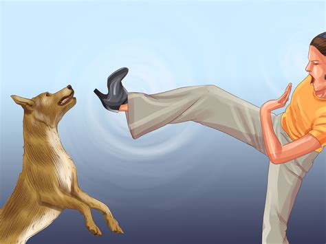 What to do if a dog is chasing you?