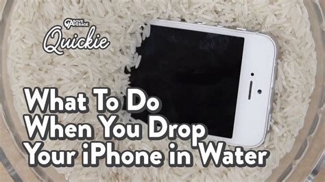 What to do if i drop my iPhone 11 in water?