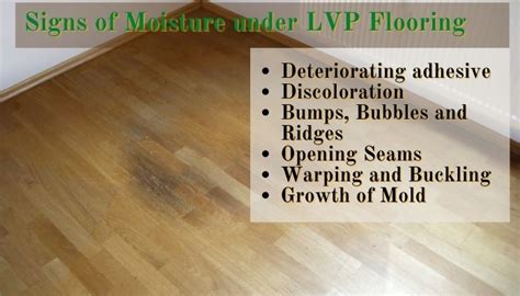 What to do if water gets under LVP?