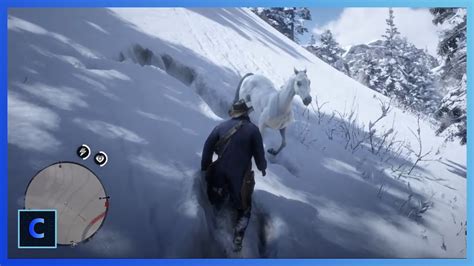 What to do if you lose the white Arabian horse?