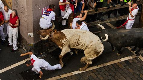 What to do with a bull?