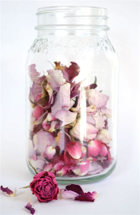 What to do with dead rose petals?