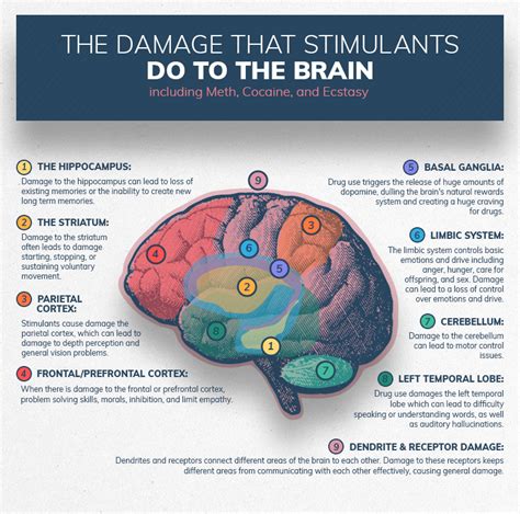 What toxins cause brain damage?