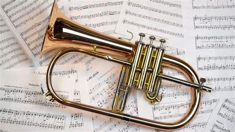 What transposition is flugelhorn?