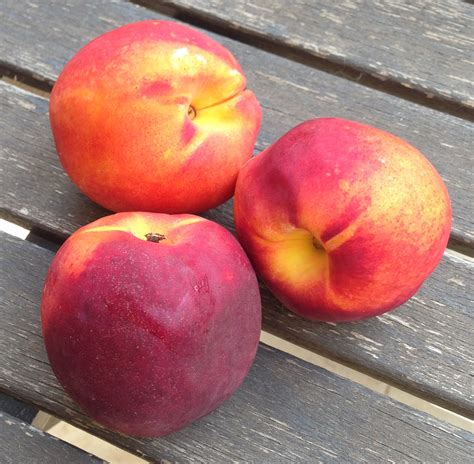 What two fruits make a nectarine?