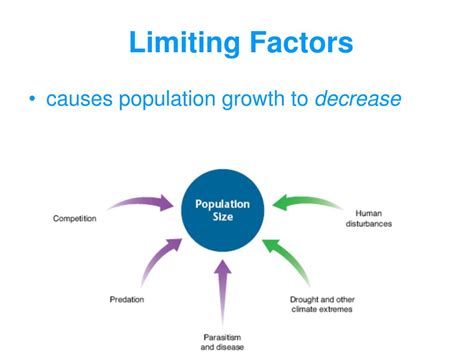 What two things decrease a population?