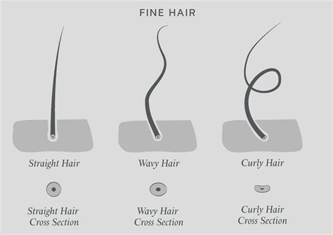 What type is fine hair?