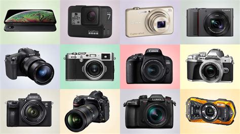 What type of camera do most professionals use?